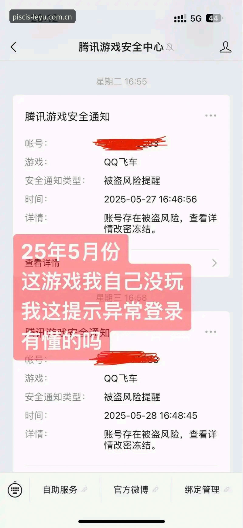 揭秘乐鱼体育平台登录异常的真相：域名即信标CN赛事数据更新教程
